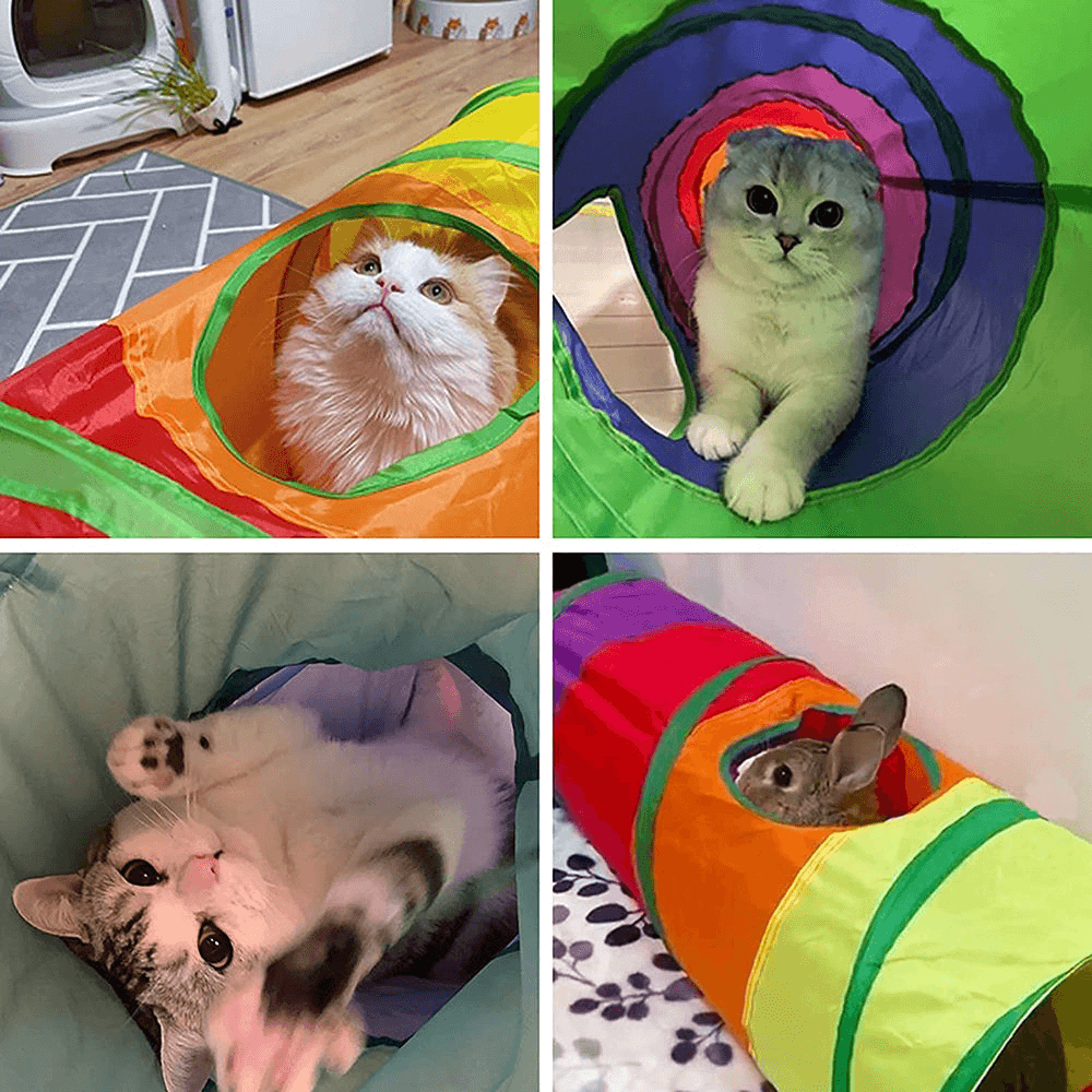 Fun Tunnel for Cats